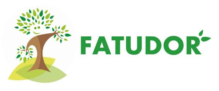 Fatudor logója